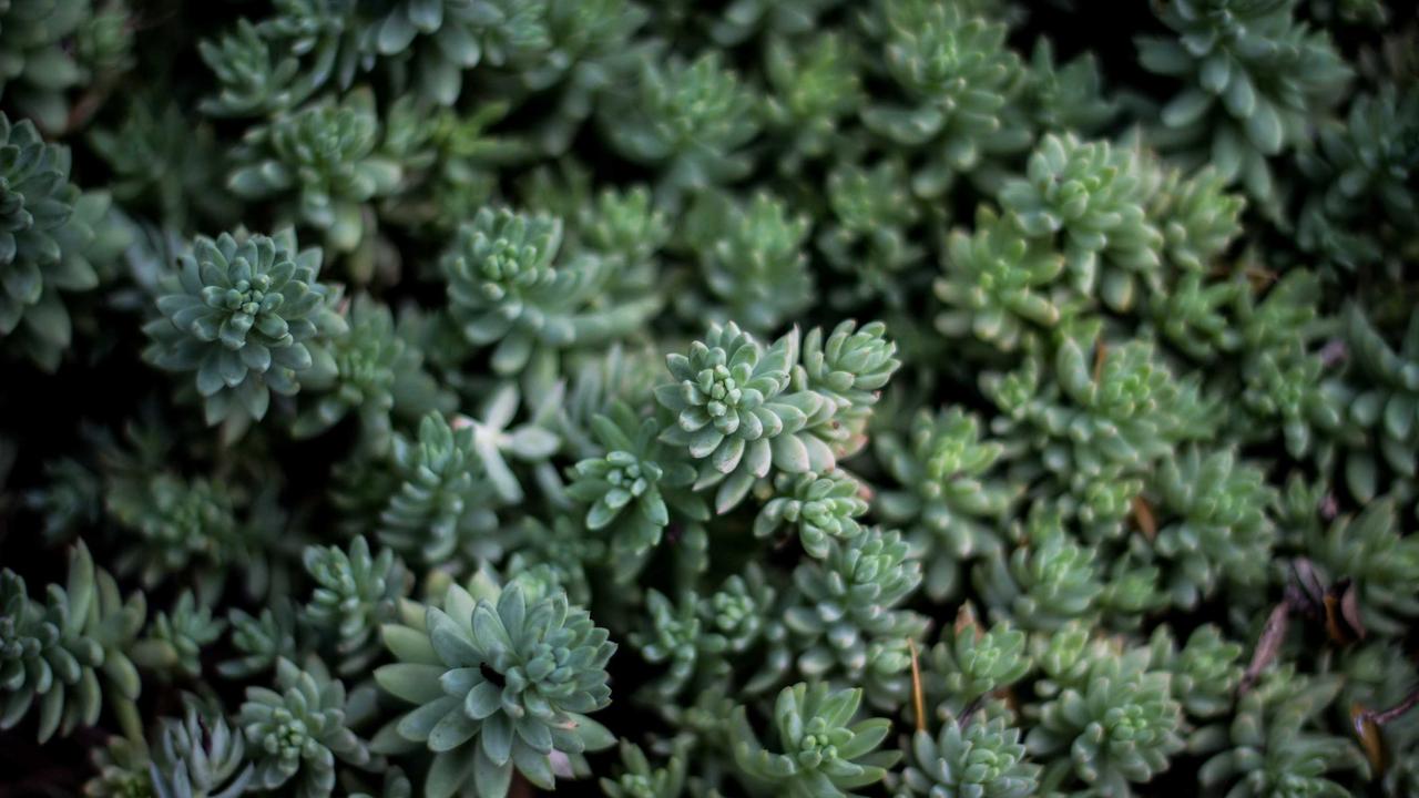 Minimalist Travel: The Art of Living Out of a Carry-on for a Year